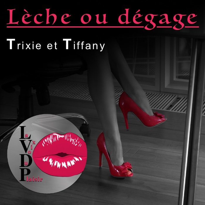 La voix du plaisir une séance de domination lèche ou dégage